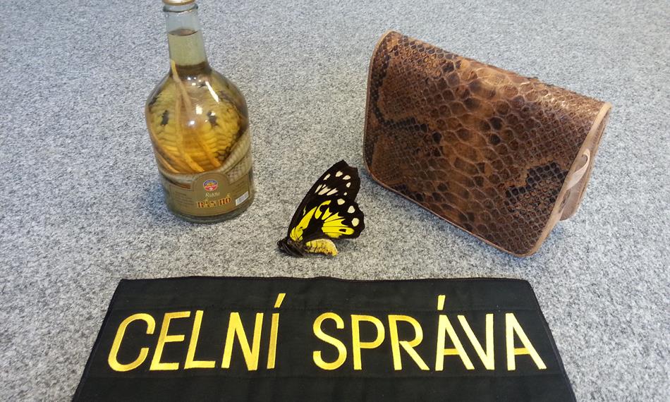 2014-7-7-13202. foto.jpg